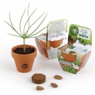 55mm clay pot with seeds to grow model with pediment
