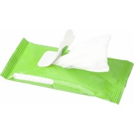 Bag containing 10 disinfectant wipes