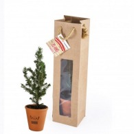 Christmas tree in a terracotta pot and a prestige kraft bag