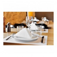 Place mat in non-woven (one thousand)