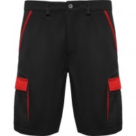 TAHOE colour combination shorts