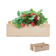 Strawberry seeds in a wooden box