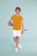 Raglan sleeved sporty kids T-shirt - colour