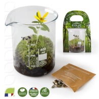 Terrarium beaker with seeds for sowing