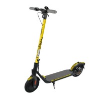 Segway F25E electric scooter