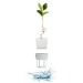 21W LED Growth Lamp wholesaler