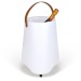Illuminated champagne bucket wholesaler