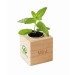 Product thumbnail Wooden pot with seed. 3