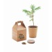 Growtree - One Set, One Pin, Bag of seeds promotional