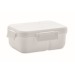 MAKAN Lunch box and cutlery in PP wholesaler
