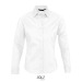 EDEN EDEN chemise femme 140g wholesaler