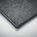 FELTNOTE - A4 lecturer in RPET, speaker promotional