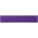 Rothko PP ruler 20 cm, ruler promotional