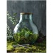 Product thumbnail Recycled glass terrarium with gardening set 3