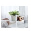 10 Prixton Prado Frameo digital photo frame with Wi-Fi wholesaler