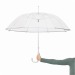 Transparent umbrellas