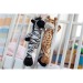 Lorenzo Zebra Plush wholesaler