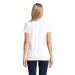 PHOENIX WOMEN wholesaler