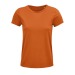 CRUSADER WOMEN - Women's fitted round-neck jersey T-shirt - White wholesaler