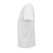 PIONEER MEN - Men's fitted round-neck jersey T-shirt - 4XL wholesaler