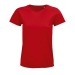 PIONEER WOMEN - Women's fitted round-neck jersey T-shirt - 3XL wholesaler