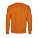 Columbia round neck sweatshirt, Sweater promotional