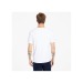 Organic cotton T-shirt brand Timberland wholesaler