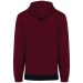 Unisex tricolour hooded sweatshirt wholesaler