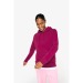 Sweat-shirt capuche bio Native Spirit wholesaler