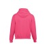 Children's hoodie, childrenswear promotional