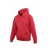 Children's hoodie, childrenswear promotional