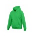 Children's hoodie, childrenswear promotional