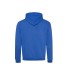 Two-tone hoodie wholesaler