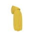 Fruit of the Loom kids hoodie wholesaler