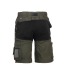 Hespar - BERMUDA HESPAR wholesaler