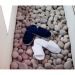 Product thumbnail Open Toe Slippers With Side Fastening - Mules 2