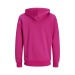 Sweat à capuche coton bio 300g, textile divers écologique, recyclé, durable ou bio promotional