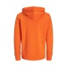 Sweat à capuche coton bio 300g wholesaler
