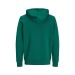 Sweat à capuche coton bio 300g, textile divers écologique, recyclé, durable ou bio promotional