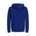 Sweat à capuche coton bio 300g, textile divers écologique, recyclé, durable ou bio promotional
