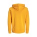 Sweat à capuche coton bio 300g wholesaler