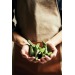 Asado apron wholesaler