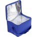Small non-woven cooler bag, cool bag promotional