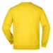 Heavy child round neck sweater colors, child sweatshirt promotional