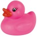 Canard magique - MBW, canard promotional