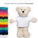 Eco-Tex plush bear Michael wholesaler