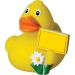 Canard voyage - MBW, canard promotional