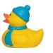 Canard hiver - MBW wholesaler