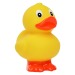 Standing Duck, duck promotional