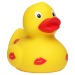 Duck Party wholesaler
